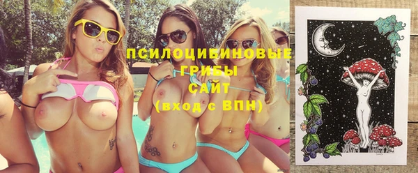 мяу мяу мука Медногорск