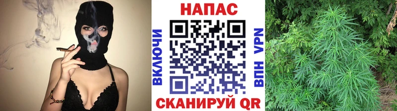Канабис Bruce Banner  купить закладку  Ярцево 